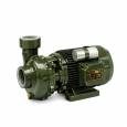 ปั๊มน้ำแบบใบพัดเปิด รุ่น  ZF650DX  